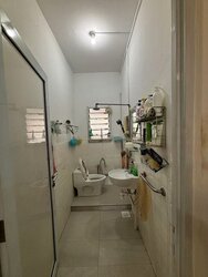 Mount Sinai (D10), Terrace #456398981